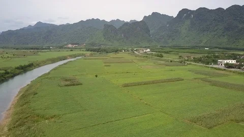 Upper view green fields between small river and country road Stock Footage 106048265