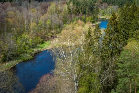 Upper view of the river flowing through the forest Stock Photos