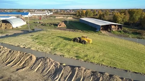 Upper view tractor tamps harvested silage in large pit Stock Footage 112377802