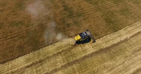 Upper view yellow harvester operating in wheat field and leaving dust behind Stock Footage 92049166