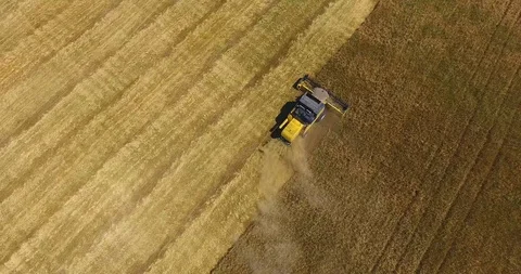 Upper view yellow harvester operating in wheat field and leaving dust behind Stock Footage 92049194
