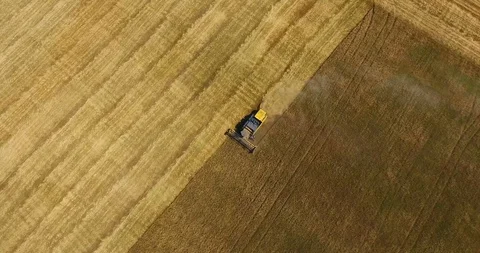 Upper view yellow harvester operating in wheat field and leaving dust behind Stock Footage 92049245