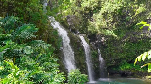 Upper Waikani Falls Stock Footage 305123947