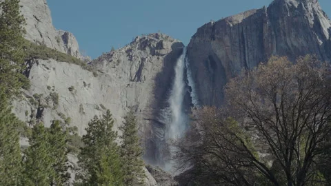 Upper Yosemite Fall behind bare oak trees in spring Vídeos de archivo 348051342
