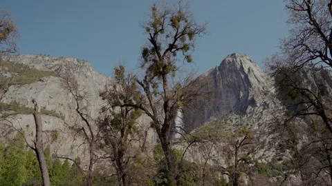 Upper Yosemite Fall framed by bare oak branches Stock-Footage 347988021