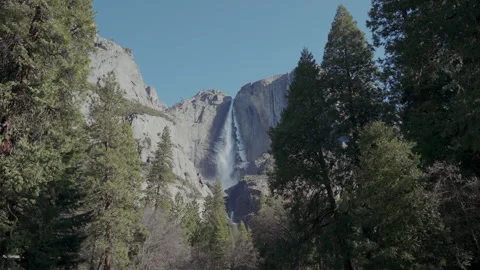 Upper Yosemite Fall framed by pine trees in Yosemite Valley Vídeos de archivo 347987519