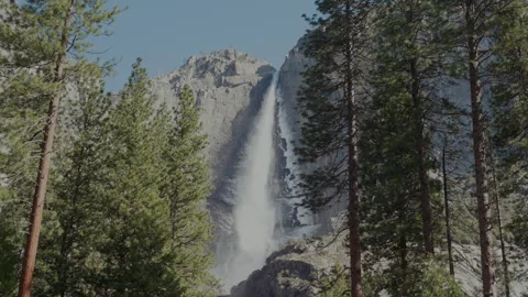Upper Yosemite Fall framed by tall pines in spring Stock-Footage 347987566