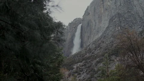 Upper Yosemite Fall through blurred pine branches Stock-Footage 347986843
