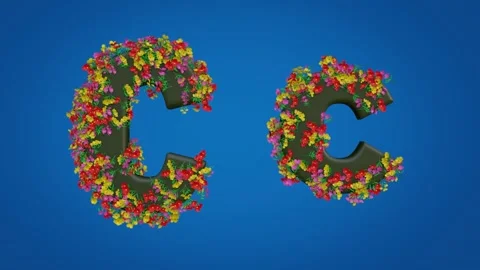 Uppercase and Lowercase Letters of C Stock Footage 285044352