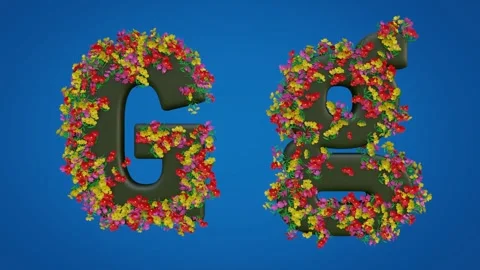 Uppercase and Lowercase Letters of G Stock Footage 285044542