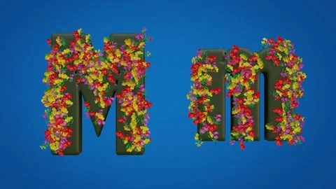 Uppercase and Lowercase Letters of M Stock Footage 285043174