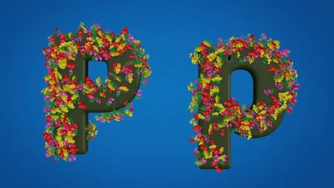 Uppercase and Lowercase Letters of P Stock-Footage 285124070