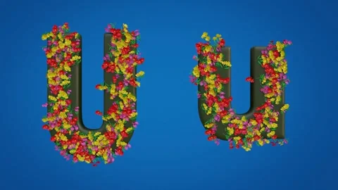 Uppercase and Lowercase Letters of U Stock Footage 285124969