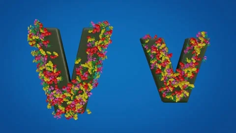 Uppercase and Lowercase Letters of V Stock Footage 285123783