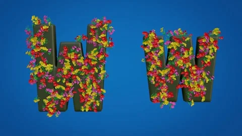 Uppercase and Lowercase Letters of W Stock Footage 285123842