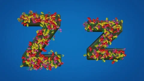 Uppercase and Lowercase Letters of Z Video stock 285124007