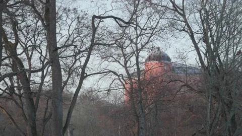 Uppsala Castle Seen Behind Trees at Winter, Establishing Shot Stock Footage 234989264