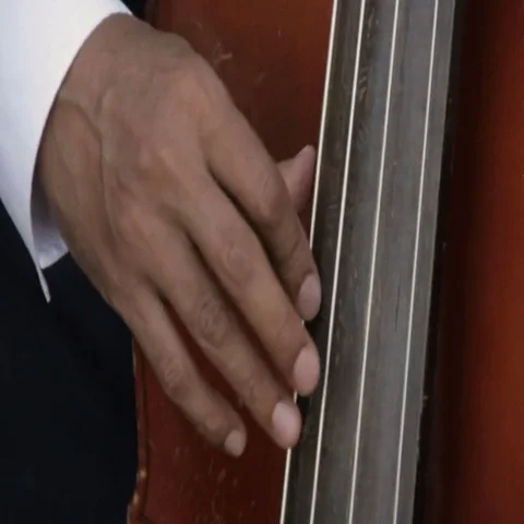 Upright Bass Playing Close Up Stock Footage 69691491