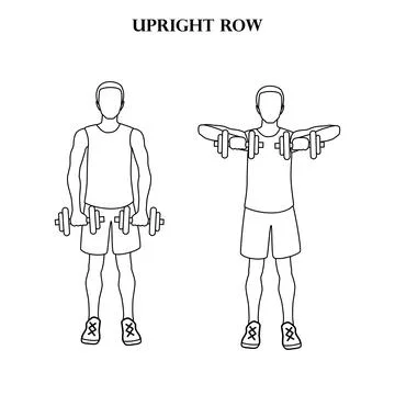 Upright row workout exercise vector illustration outline Illustrazione stock