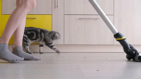 The upright vacuum cleaner cleans the laminate floor in the kitchen Stock Footage 152374533