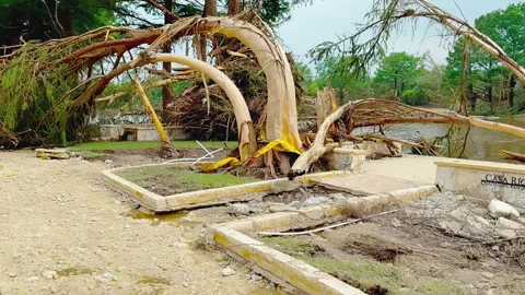 Uprooted and Bent Trees on Guadalupe River After Texas Flood, Kerrville, TX 2025 Stock Footage 312696313