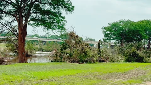 Uprooted and Bent Trees on Guadalupe River After Texas Flood, Kerrville 2025 Stock Footage 312708735