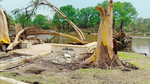 Uprooted, Snapped, Bent Trees Guadalupe River After Texas Flood, Kerrville 2025 Stock Footage 312750168