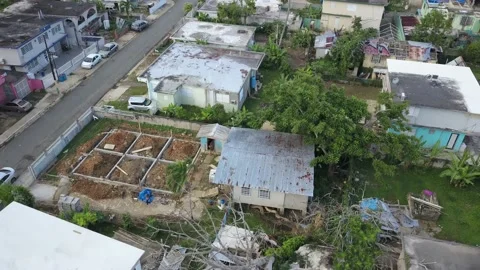 Uprooted Tree and Bare Foundation after Hurricane Maria, Irma, and Flooding Stock Footage 135361842
