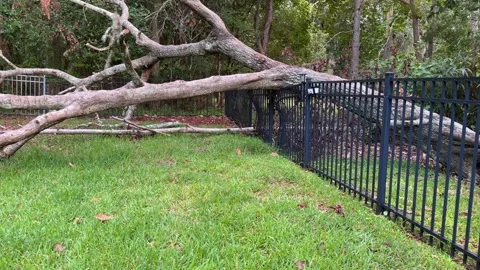 Uprooted Tree Destroys Backyard Fence After Storm, Panning View Stock Footage 345549649