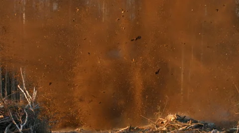 Uprooting stumps blasting. Stock Footage 58504284