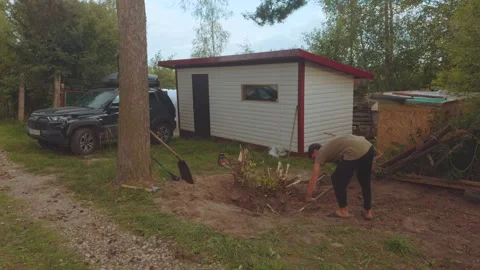 Uprooting a tree, removing a tree, removing tree roots Stock Footage 338251007