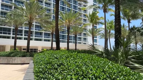 Upscale Hotel spa in Miami Beach with tropical landscape Stock Footage 249889776