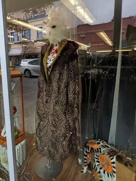 An upscale shop window featuring a bold animal-print jacket displayed Stock Photos