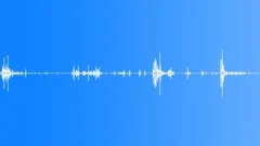 Upset parrot in a cageSound Effect