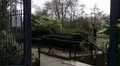 Upset woman walking through park and talking on phone HD Footage