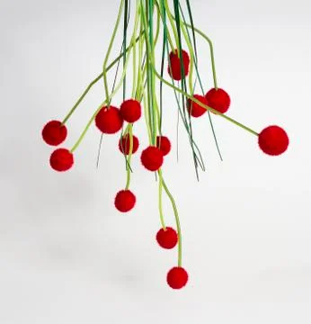 Upside down creative red flowers 스톡 사진