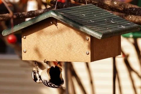 Upside down dinner Stockfoto's