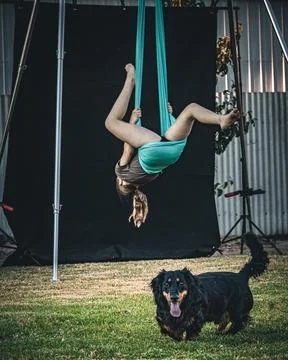 Upside-Down Fun Stock Photos