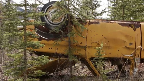 Upside down old abandoned overgrown car in the bush Stock Footage 78826832