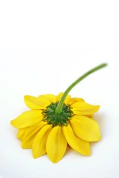 Upside down Foto stock