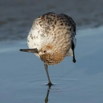 Upside down Foto stock