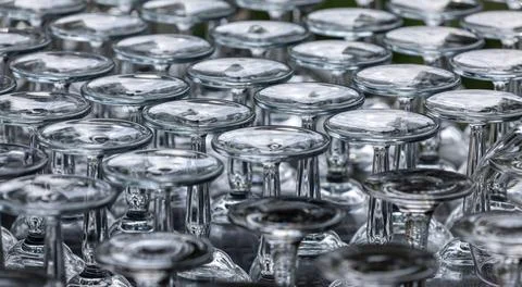 Upside down stemmed wine glasses arranged in uniform rows for drying. Foto stock