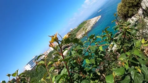 Upside Down turning around Seaside ladscape Stock Footage 237526123