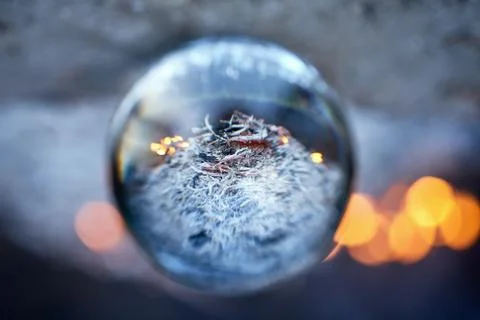 Upside down view through the lensball on blurred campfire in forest Stock Photos