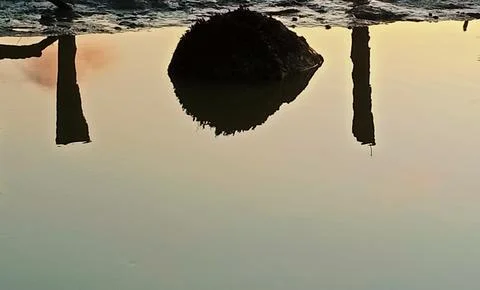 Upsidedown image 库存照片