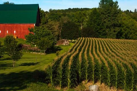 Upstate farm Foto stock