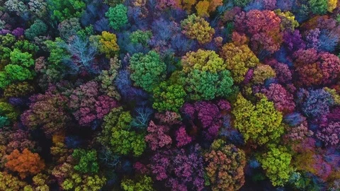 Upstate New York Fall Foliage - drone footage - 4k Stock Footage 70349762