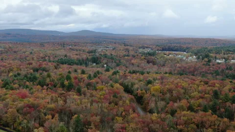 Upstate NY, Fall Colors 動画素材 289784031