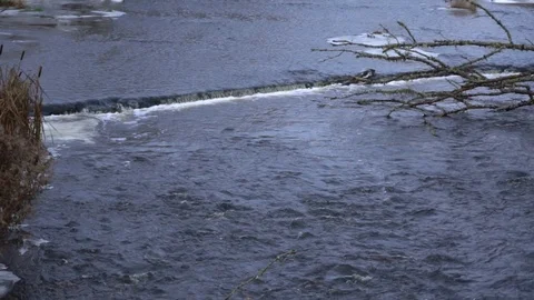 The upstream cold stream of water meets a small, small waterfall and Video stock 113407702