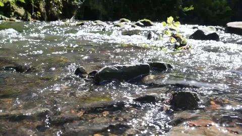 Upstream At Fast Stream Stock Footage 91216418